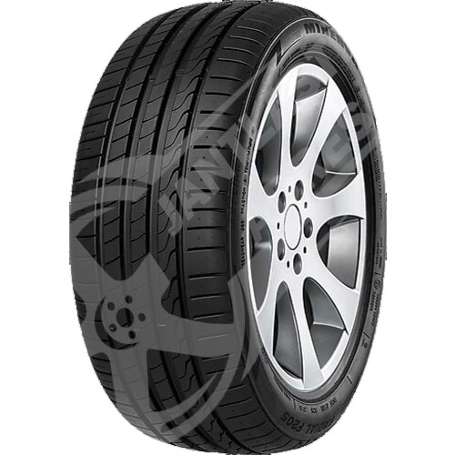 265/30R19 93Y XL Minerva F205
